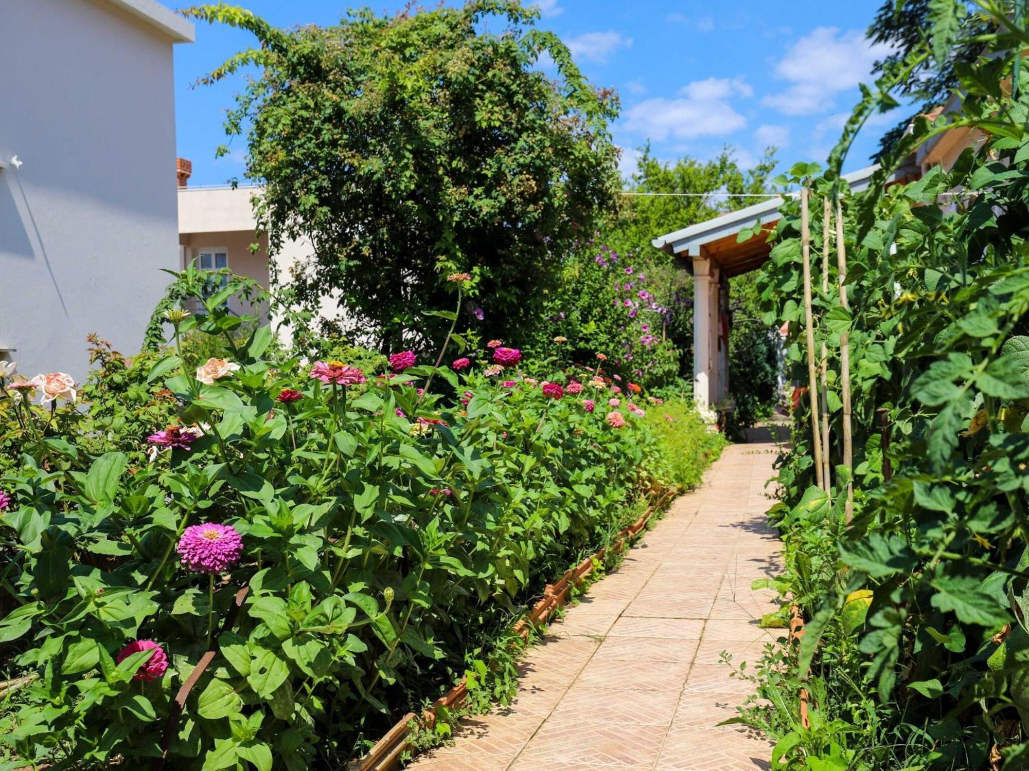 Apartment Garden M&M - One Bedroom Apartment Dubrovnik Exterior photo